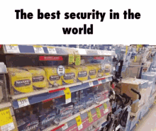 Funny Best Security GIF - Funny Best Security World GIFs