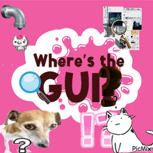 Gui Where'S The Gui GIF
