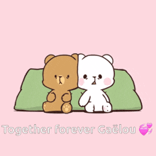 a cartoon of two teddy bears laying on a pillow with the words together forever gaelou below them