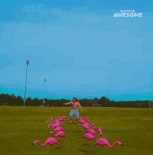 Kicking Flamigoes People Are Awesome GIF - Kicking Flamigoes People Are Awesome Kicking GIFs