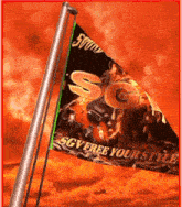 a sgv free your style flag is flying in the wind