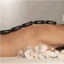 Thai Massage Facial Treatments In Manhattan GIF
