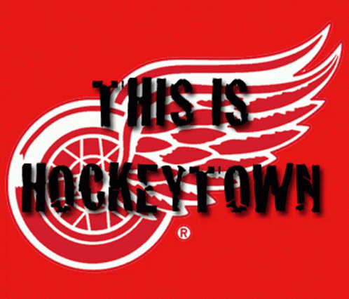 detroit-red-wings-lets-go-red-wings.gif