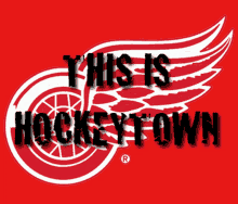 Detroit Red Wings Lets Go Red Wings GIF