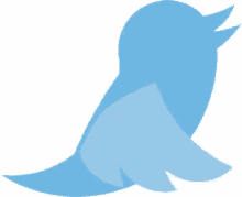 twitter png bird