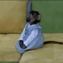 Monkey Sitting Alone On Couch Monkey Alone GIF - Monkey Sitting Alone On Couch Monkey Alone GIFs