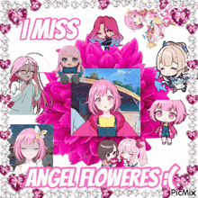 a collage of pink anime characters with the words i miss angel flowers