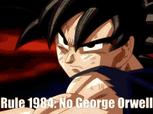 Rule1984 George Orwell GIF - Rule1984 George Orwell Goku GIFs