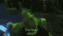 Youre An Idiot The Grinch GIF - Youre An Idiot The Grinch Jim Carrey GIFs