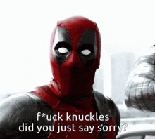 a picture of deadpool with the words " fuck knuckles did you just say sorry "