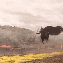 a witch is flying through the air while holding a stick