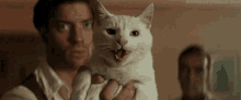 Hissing Cat GIF - Hissing Cat Angry GIFs