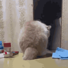a cat is standing on a table with a bottle of sauce on it .
