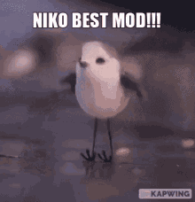 Niko Best Mod Niko GIF - Niko Best Mod Niko Best GIFs