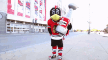 chicago blackhawks tommy hawk mascot mascots nhl