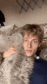 a young man is holding a fluffy gray cat