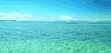 Beach Shore GIF - Beach Shore Water GIFs