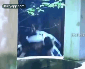 Goat GIF - Goat ready Vadivelu Comedian - Discover & Share GIFs Goat GIF - Goat ready Vadivelu Comedian - Discover & Share GIFs