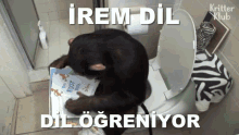 Irem Irem Dil GIF - Irem Irem Dil Dilci Irem GIFs