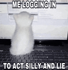 a kitten is sitting in front of a laptop with the words me logging in to act silly and lie below it