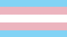 a transgender flag with the words trans pride forever written on it