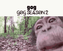 Gog Gog Series GIF - Gog Gog Series Gog Meme GIFs