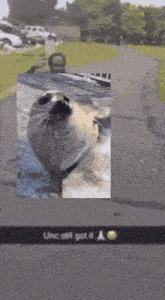 a picture of a seal with a caption that says unc still got it