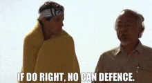 Karate Kid No Can Defense GIF - Karate Kid No Can Defense No Can Defend GIFs