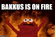 Bakkus Is On Fire Burning Background GIF - Bakkus Is On Fire Burning Background Elmo GIFs