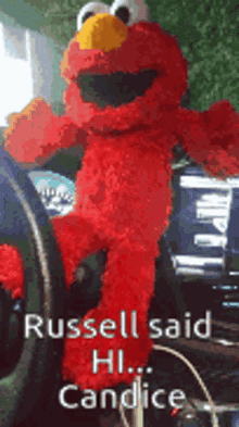 Russel Said Hi Candice GIF - Russel Said Hi Candice Elmo GIFs