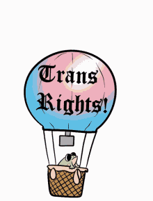 frog trans trans rights hot air balloon floating