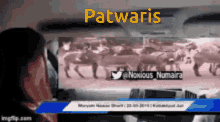 Patwari Horse GIF - Patwari Horse GIFs