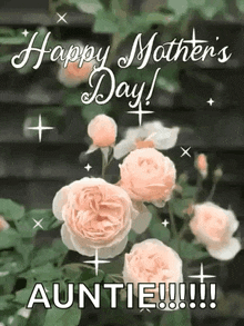 a mother 's day card with roses and the words `` happy mother 's day auntie '' .