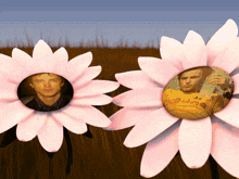 Jesse Pinkman Flower GIF - Jesse Pinkman Flower Flowers GIFs