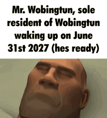 Wobingtun Mr Wobingtun GIF - Wobingtun Mr Wobingtun Resident GIFs