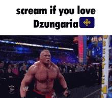 a picture of a wrestling match with the words scream if you love dzungaria