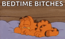garfield is laying on a bed with a pillow and the words bedtime bitches written above him .