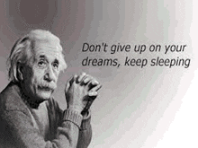 愛因斯坦 不要放棄你的夢 GIF - 愛因斯坦 不要放棄你的夢 繼續睡 GIFs