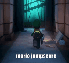 Luigis Mansion Mario Jumpscare GIF - Luigis Mansion Mario Jumpscare GIFs