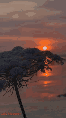 Sunset Lake GIF - Sunset Lake Water GIFs