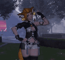 a girl with fox ears and a fox tail is standing in a field