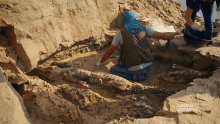 Archaeology Site Mummified Crocodiles GIF - Archaeology Site Mummified Crocodiles Mummy GIFs