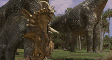 a couple of dinosaurs are standing in a field