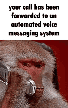 voicemail automated voice messaging system monkey call phone call pick up phone
