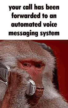 phone automated