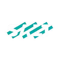 a red and white logo that says salt on it