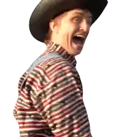 a man wearing a cowboy hat and striped shirt is laughing