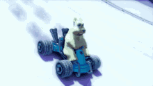 Crash Bandicoot Polar Bear GIF - Crash Bandicoot Polar Bear Ctr GIFs