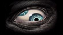 Eye Psychedelic GIF - Eye Psychedelic Blue GIFs