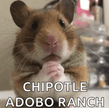 a chipotle adobo ranch sign with a hamster